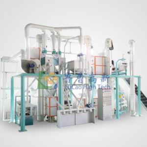 大型水蜜桃福利视频网加工成套机组