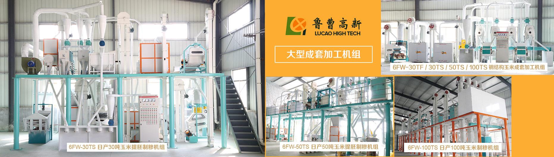 水蜜桃福利视频网加工成套设备